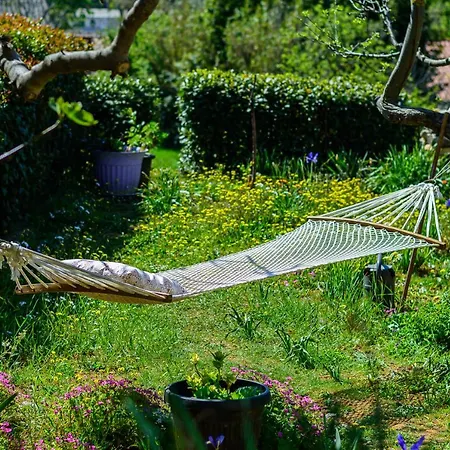 Macan, Beautiful Oasis 풀라