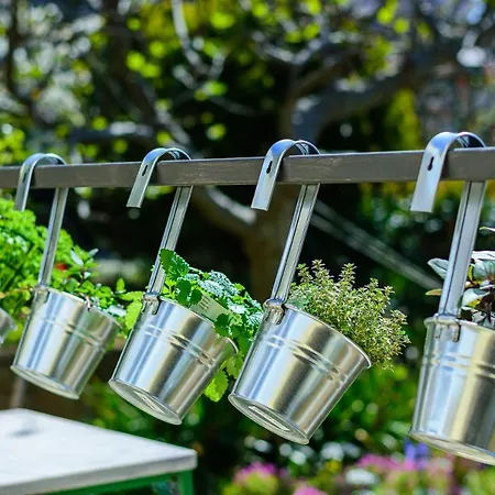 Macan, Beautiful Oasis Lägenhet