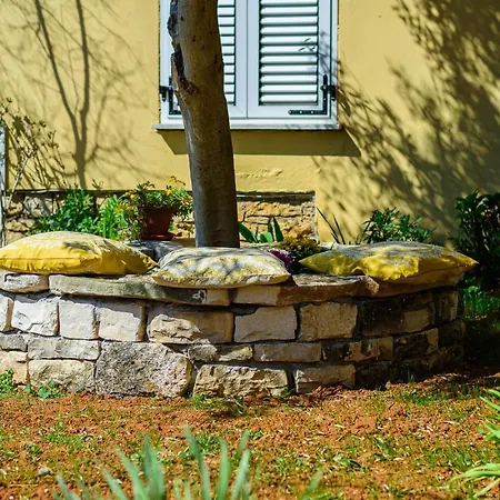 Daire Macan, Beautiful Oasis Pula