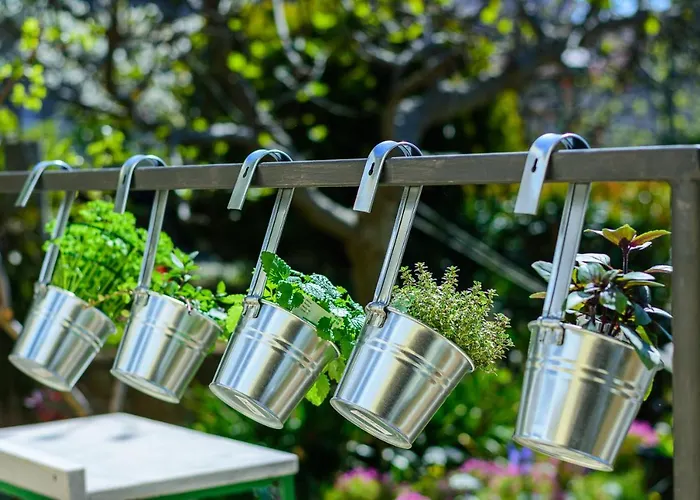 Macan, Beautiful Oasis Appartamento