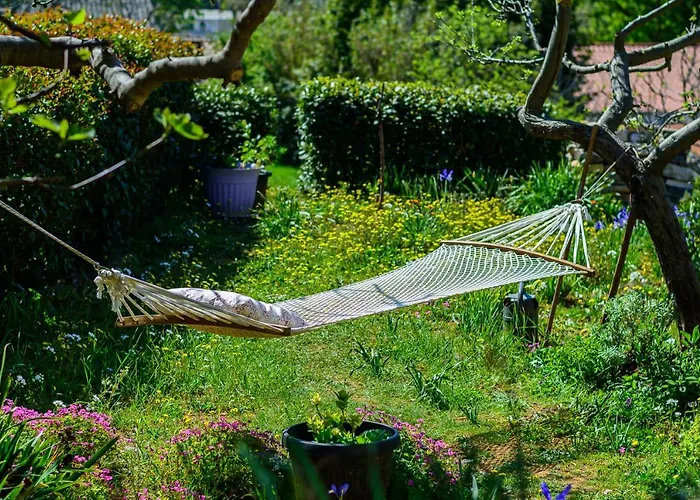 Macan, Beautiful Oasis Pola